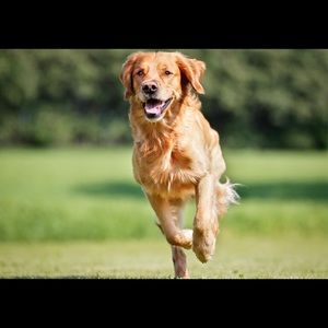 Meet your Posher, Macy